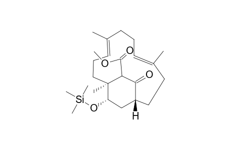 Methyl (1RS,4E,8E,12SR)-4,8,12-Trimethyl-14-oxo-16-(trimethsiloxy)bicyclo[10.2.2]hexadeca-4,8-diene-13-carboxylate