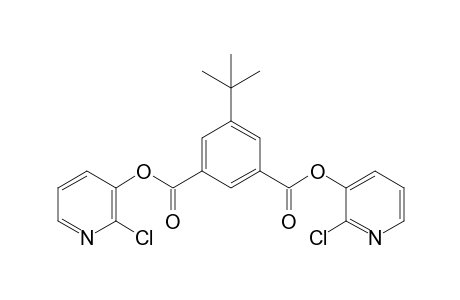 5-tert-butylisophthalic acid, bis(2-chloro-3-pyridyl) ester