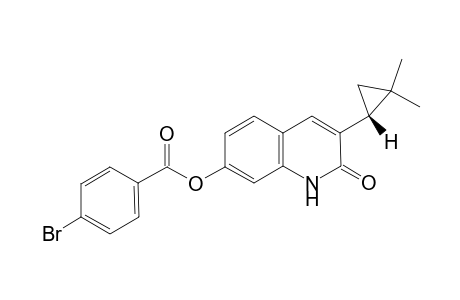 (R)-3-(2,2-Dimethylcyclopropyl)-2-oxo-1,2-dihydroquinolin-7-yl 4-bromobenzoate