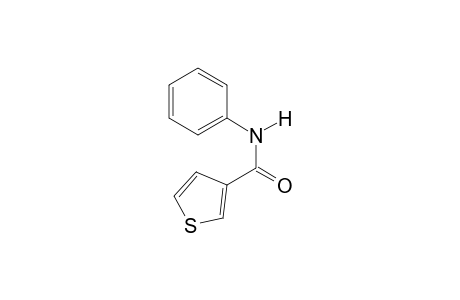 N-Phenylthiophene-3-carboxamide