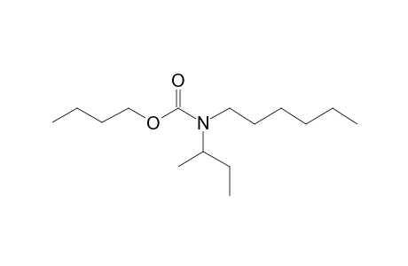 Carbamic acid, N-(2-butyl)-N-hexyl-, butyl ester