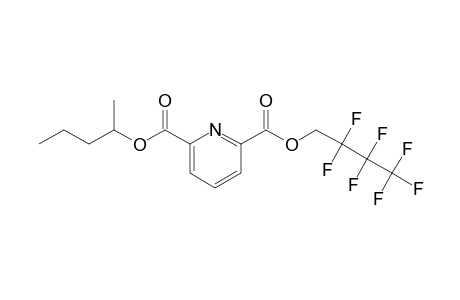2,6-Pyridinedicarboxylic acid, 2,2,3,3,4,4,4-heptafluorobutyl pent-2-yl ester