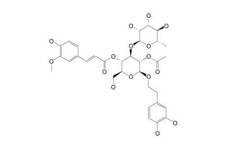 2-O-ACETYL-3'''-O-METHYLVERBACOSIDE;BETA-(3,4-DIHYDROXYPHENYL)-ETHYL-O-ALPHA-L-RHAMNOPYRANOSYL-(1->3)-BETA-D-(4-O-FERULOYL)-2-ACETYLGLUCOPYRANOSIDE