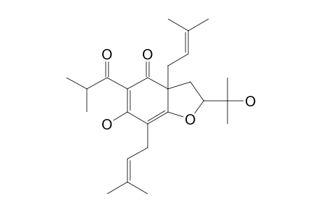 LUPULONE_E