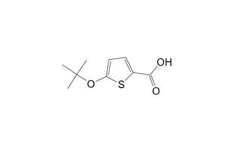 2-Thiophenecarboxylic acid, 5-(1,1-dimethylethoxy)-
