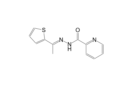 2-pyridinecarboxylic acid, 2-[(E)-1-(2-thienyl)ethylidene]hydrazide