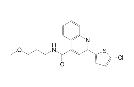 2-(5-chloro-2-thienyl)-N-(3-methoxypropyl)-4-quinolinecarboxamide