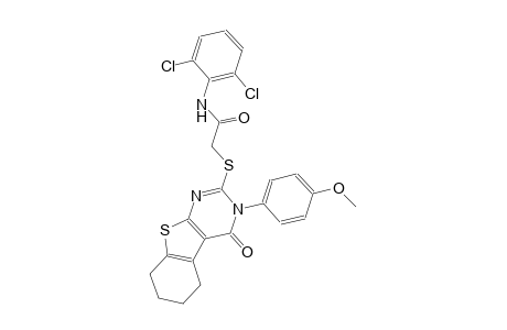 N-(2,6-dichlorophenyl)-2-{[3-(4-methoxyphenyl)-4-oxo-3,4,5,6,7,8-hexahydro[1]benzothieno[2,3-d]pyrimidin-2-yl]sulfanyl}acetamide