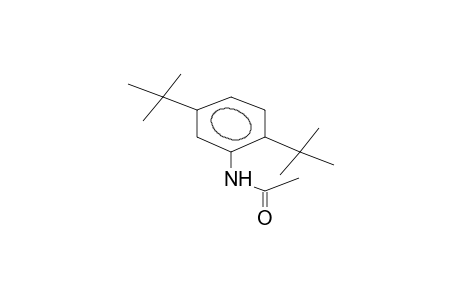 2,5-di-tert-butylacetanilide