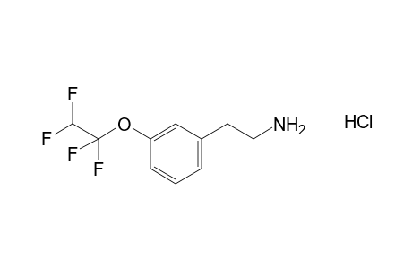 m-(1,1,2,2-tetrafluoroethoxy)phenethylamine, hydrochloride