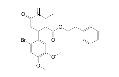 2-phenylethyl 4-(2-bromo-4,5-dimethoxyphenyl)-2-methyl-6-oxo-1,4,5,6-tetrahydro-3-pyridinecarboxylate