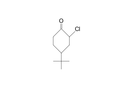 cis-2-Chloro-4-tert-butyl-cyclohexanone