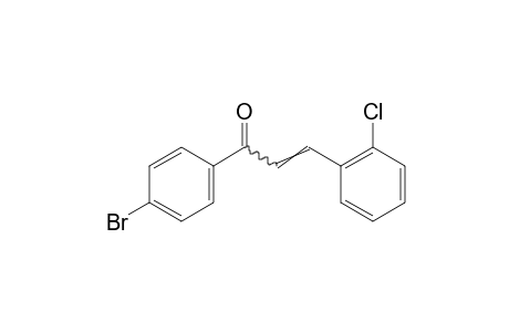 4'-bromo-2-chlorochalcone