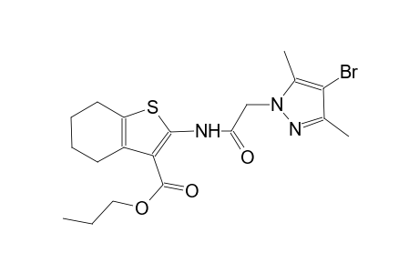propyl 2-{[(4-bromo-3,5-dimethyl-1H-pyrazol-1-yl)acetyl]amino}-4,5,6,7-tetrahydro-1-benzothiophene-3-carboxylate