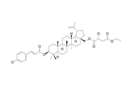 3-(E)-Coumaroylbetulin-28-yl Ethyl (2R)-2-Hydroxysuccinate