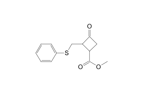 Methyl 3-oxo-2-[(phenylthio)methyl]cyclobutanecarboxylate