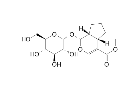 Cyclopenta[c]pyran-4-carboxylic acid, 1-(.alpha.-D-glucopyranosyloxy)-1,4a,5,6,7,7a-hexahydro-, methyl ester, [1R-(1.alpha.,4a.beta.,7a.beta.)]-