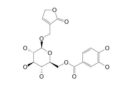 CIBTOTIUMBAROSIDE_A;3-[(6-O-PROTOCATECHUOYL-BETA-D-GLUCOPYROSYLOXY)-METHYL]-2-(5-H)-FURANONE