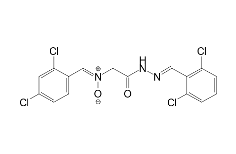 N-{[3-(2,6-DICHLOROBENZYLIDENE)CARBAZOYL]METHYL}-alpha-(2,4-DICHLOROPHENYL)NITRONE