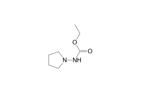 Ethyl N-pyrrolidin-1-ylcarbamate