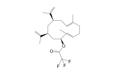 (1S,2E,6E,9S,11S)-2,6-Dimethyl-9,11-di(prop-1-en-2-yl)cyclododeca-2,6-dien-1-yl 2,2,2-trifluoroacetate