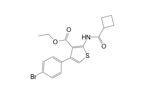ethyl 4-(4-bromophenyl)-2-[(cyclobutylcarbonyl)amino]-3-thiophenecarboxylate