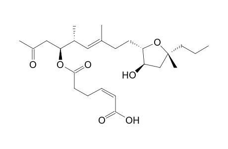 13-[3'-Hydroxy-5'-methyl-5'-propyltetrahydrofuran-2'-yl]-8-(acetylmethyl)-9,11-dimethyl-6-oxo-7-oxatrideca-2,10-dienoic Acid