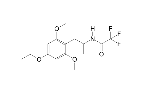 Psi-MEM TFA