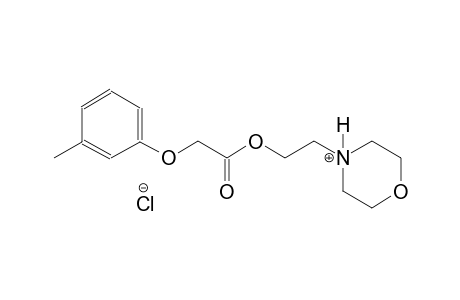 morpholinium, 4-[2-[[(3-methylphenoxy)acetyl]oxy]ethyl]-, chloride