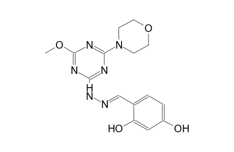 benzaldehyde, 2,4-dihydroxy-, [4-methoxy-6-(4-morpholinyl)-1,3,5-triazin-2-yl]hydrazone