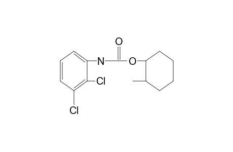 2,3-dichlorocarbanilic acid, 2-methylcyclohexyl ester