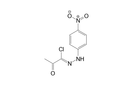 Propanehydrazonoyl chloride, N-(4-nitrophenyl)-2-oxo-