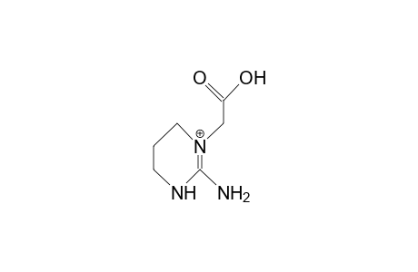 1-Carboxymethyl-2-amino-tetrahydro-pyrimidine cation