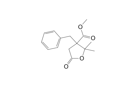 Methyl 3-benzyl-2,2-dimethyl-5-oxotetrahydrofuran-3-carboxylate