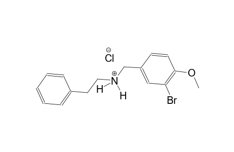 N-(3-bromo-4-methoxybenzyl)-2-phenylethanaminium chloride