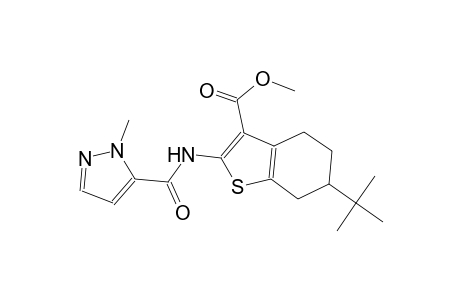 methyl 6-tert-butyl-2-{[(1-methyl-1H-pyrazol-5-yl)carbonyl]amino}-4,5,6,7-tetrahydro-1-benzothiophene-3-carboxylate