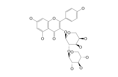 KAEMPFEROL_3-O-BETA-D-XYLOPYRANOSYL-(1->2)-BETA-D-ARABINOPYRANOSIDE