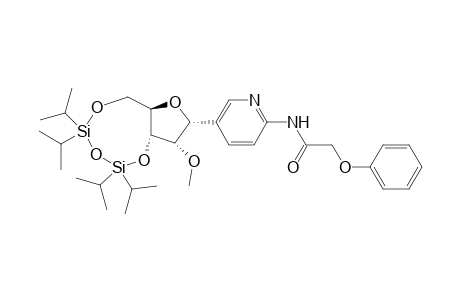 2-[N-(Phenoxyacetyl)amino]-5-[2'-methyl-3',5'-(1,1,3,3-tetraisopropyldisiloxane-1,3-diyl)-.alpha.,D-ribofuranosyl]pyridine