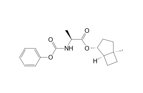 (1'R,2S,2'R,5'R)-2-[(Phenoxycarbonyl)amino]propionic acid 5-methylbicyclo[3.2.0]hept-2-yl ester