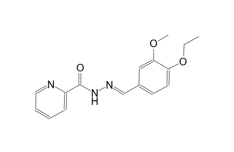 N'-[(E)-(4-ethoxy-3-methoxyphenyl)methylidene]-2-pyridinecarbohydrazide