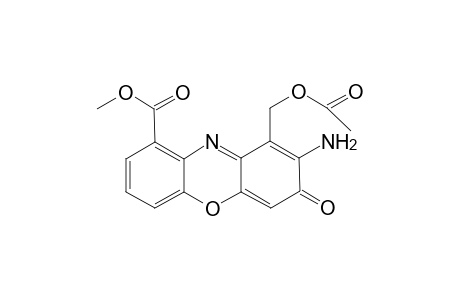 O-acetylcinnabarine - methyl ester