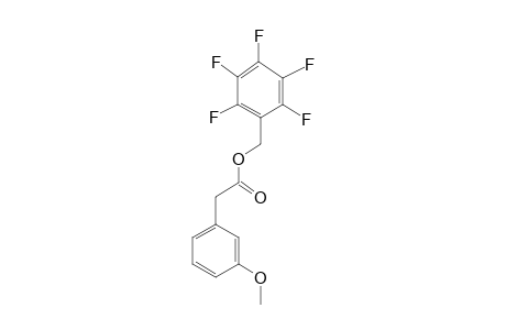 3-Methoxyphenylacetic acid, pentafluorobenzyl ester