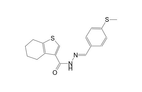 N'-{(E)-[4-(methylsulfanyl)phenyl]methylidene}-4,5,6,7-tetrahydro-1-benzothiophene-3-carbohydrazide