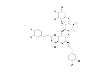 TEUCRIOSIDE;2-(3,4-DIHYDROXYPHENETHYL)-O-ALPHA-L-LYXOPYRANOSYL-(1->2)-ALPHA-L-RHAMNOPYRANOSYL-(1->3)-4-O-TRANS-CAFFEOYL-BETA-D-GLUCOPYRANOSIDE