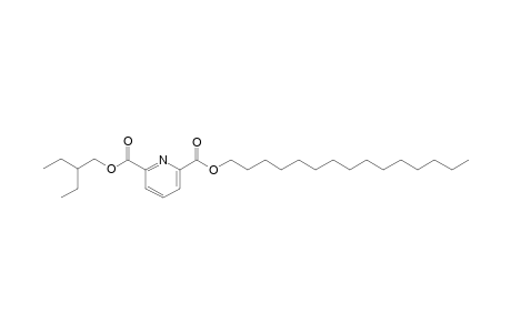 2,6-Pyridinedicarboxylic acid, 2-ethylbutyl pentadecyl ester