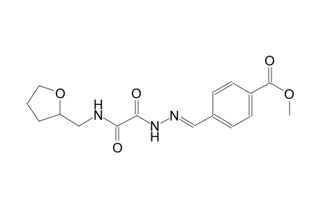 benzoic acid, 4-[(E)-[[1,2-dioxo-2-[[(tetrahydro-2-furanyl)methyl]amino]ethyl]hydrazono]methyl]-, methyl ester