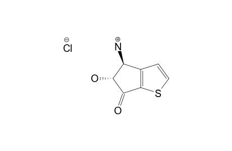 TRANS-5-HYDROXY-6-OXO-5,6-DIHYDRO-(4H)-CYCLOPENTA-[B]-THIENYL-4-AMMONIUM_CHLORIDE