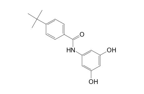 Benzamide, N-(3,5-dihydroxyphenyl)-4-(1,1-dimethylethyl)-