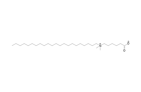 (5-carboxypentyl)dimethyldocosylammonium hydroxide, inner salt