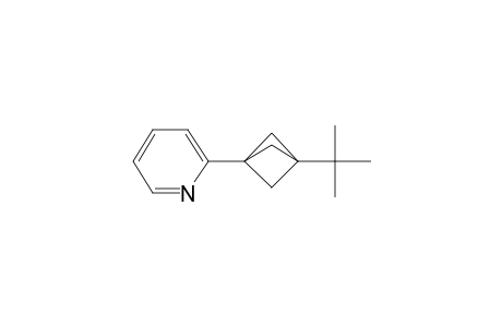 2-(3-tert-butyl-1-bicyclo[1.1.1]pentanyl)pyridine